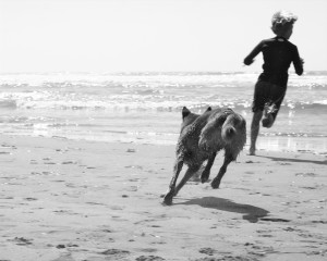 Child running on beach with dog